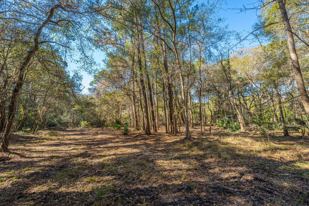 Image 16 of property listing at 4066 Gnarled Oaks Lane, Johns Island, SC 29455
