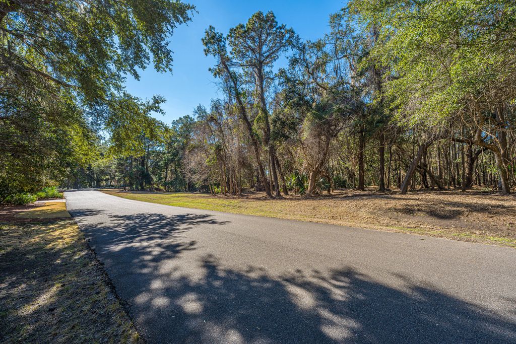 Image 2 of property listing at 4066 Gnarled Oaks Lane, Johns Island, SC 29455