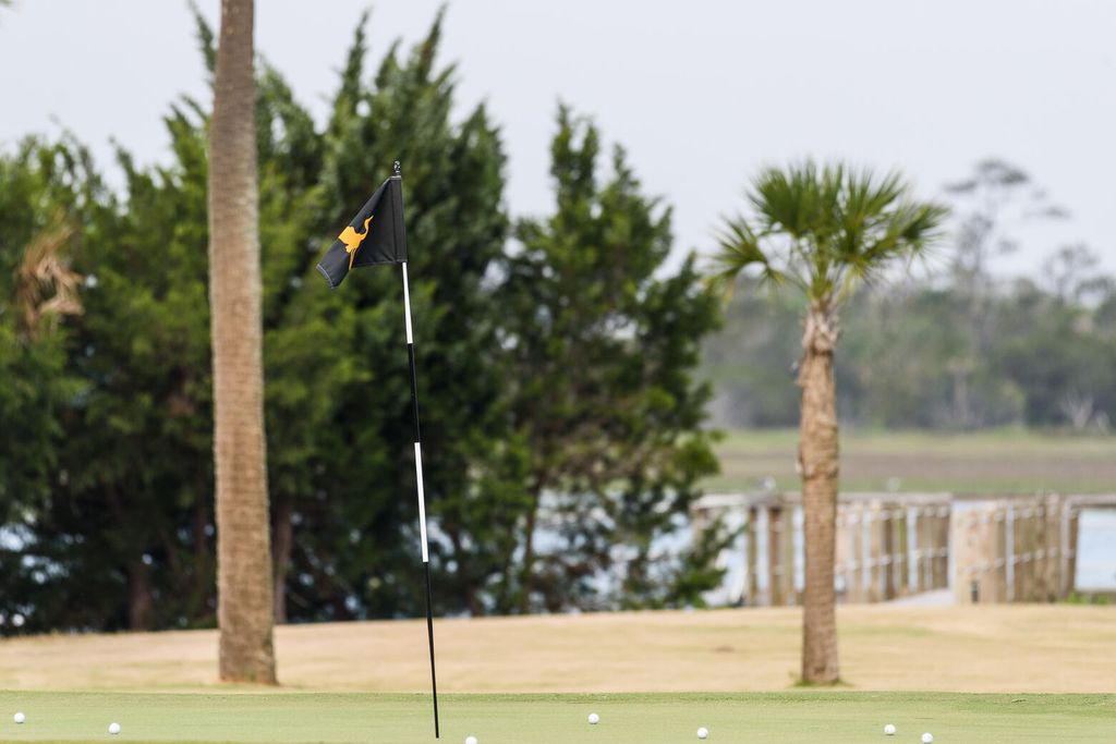 Image 24 of property listing at 4066 Gnarled Oaks Lane, Johns Island, SC 29455