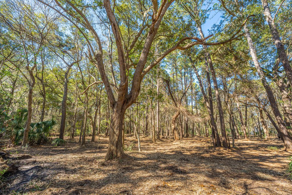 Image 3 of property listing at 4066 Gnarled Oaks Lane, Johns Island, SC 29455
