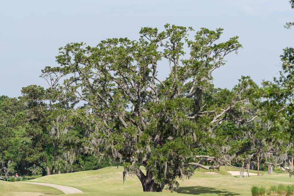 Image 38 of property listing at 4066 Gnarled Oaks Lane, Johns Island, SC 29455