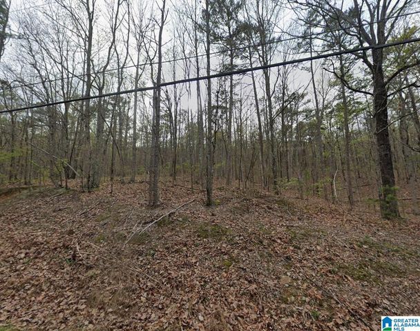 6091 LAKESIDE DRIVE, Pinson, AL 35126