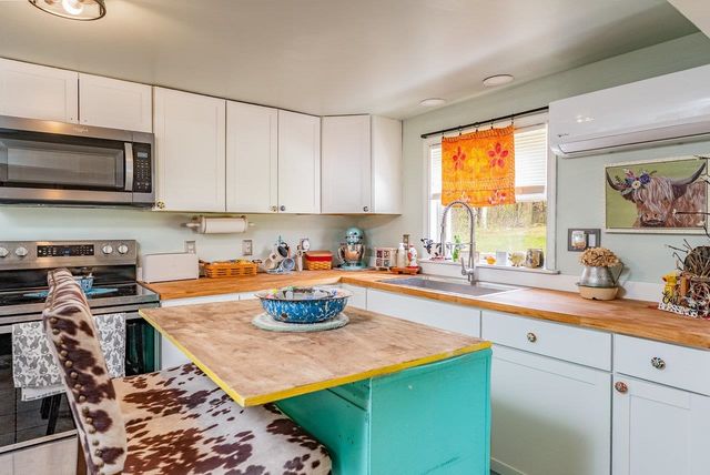 3183 JOLLETT RD, Elkton, VA 22827