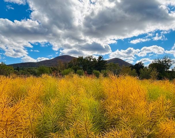 520 State Road 208, North Adams, MA 01247