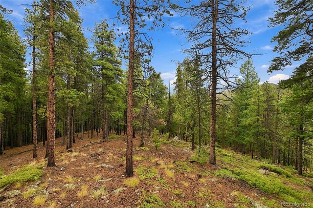 889 Lodgepole Drive, Evergreen, CO 80439