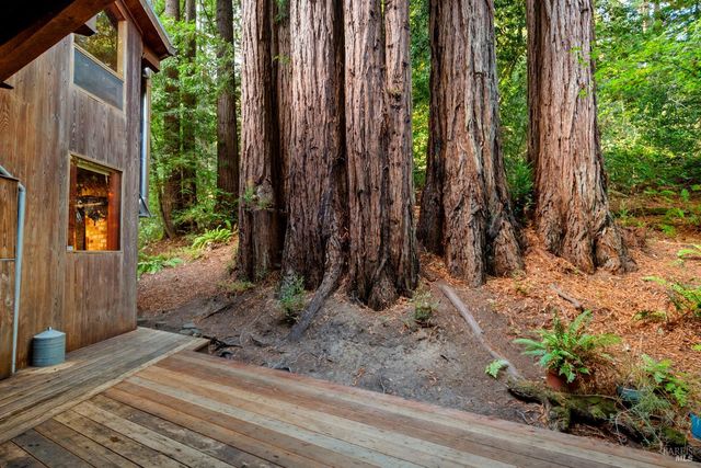 2081 Joy Rd, Occidental, CA 95465