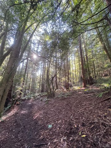 2081 Joy Rd, Occidental, CA 95465