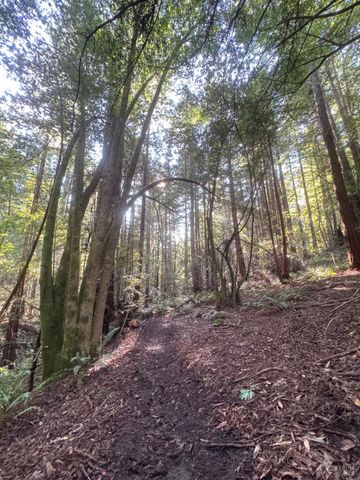 2081 Joy Rd, Occidental, CA 95465