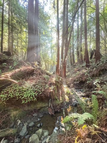 2081 Joy Rd, Occidental, CA 95465