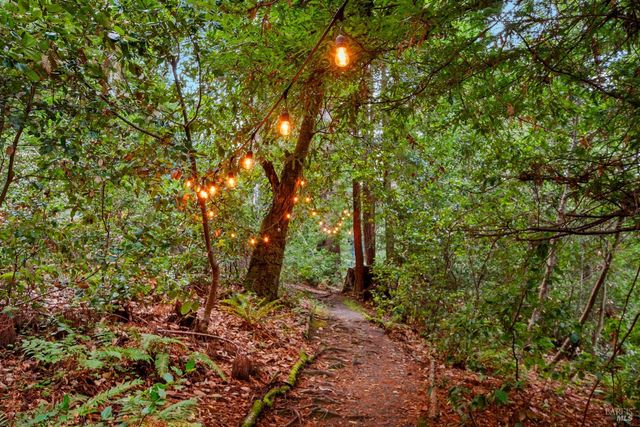 2081 Joy Rd, Occidental, CA 95465