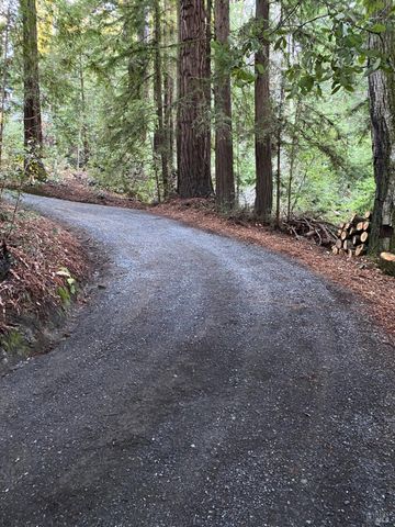 2081 Joy Rd, Occidental, CA 95465