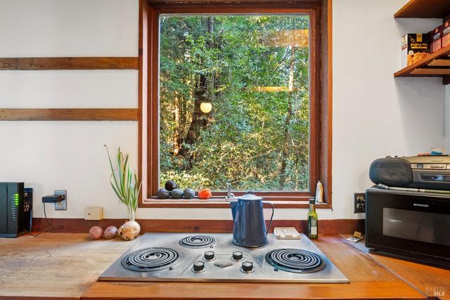 2081 Joy Rd, Occidental, CA 95465