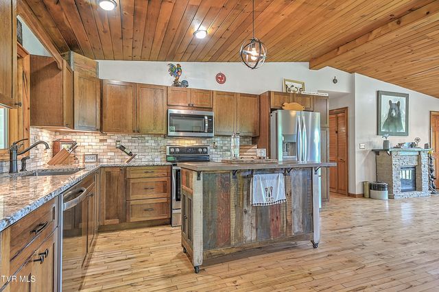 146 Bear Cage Road, Roan Mountain, TN 37687