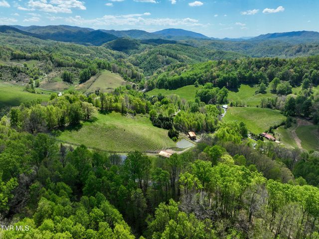 146 Bear Cage Road, Roan Mountain, TN 37687