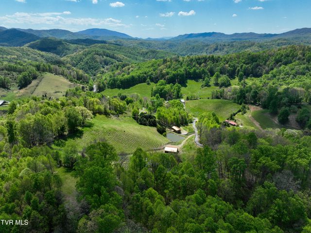 146 Bear Cage Road, Roan Mountain, TN 37687