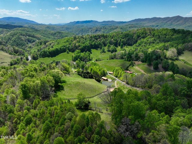 146 Bear Cage Road, Roan Mountain, TN 37687