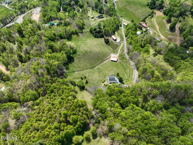 146 Bear Cage Road, Roan Mountain, TN 37687