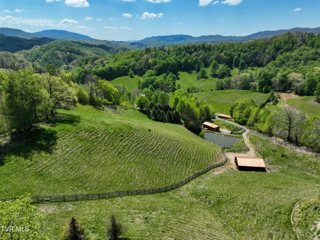 146 Bear Cage Road, Roan Mountain, TN 37687