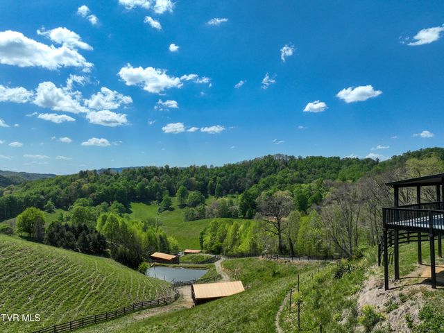 146 Bear Cage Road, Roan Mountain, TN 37687