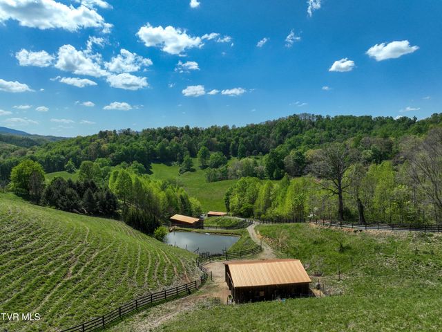 146 Bear Cage Road, Roan Mountain, TN 37687