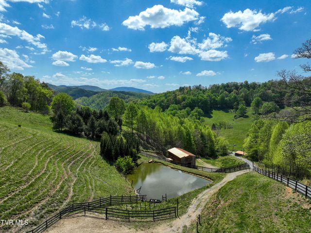 146 Bear Cage Road, Roan Mountain, TN 37687