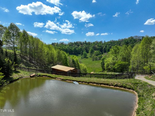 146 Bear Cage Road, Roan Mountain, TN 37687