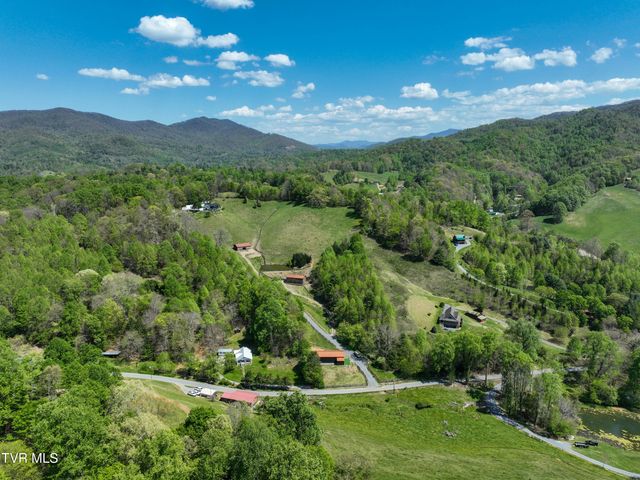 146 Bear Cage Road, Roan Mountain, TN 37687