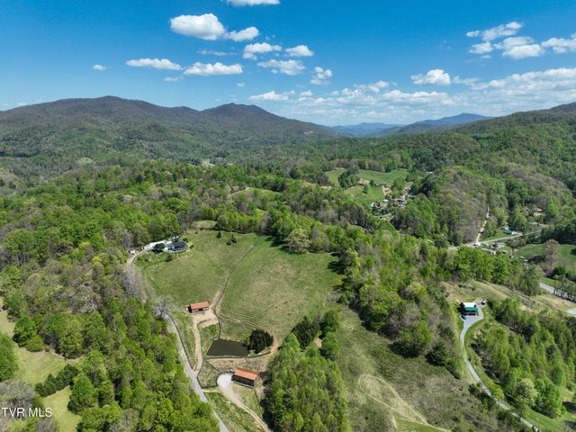 146 Bear Cage Road, Roan Mountain, TN 37687