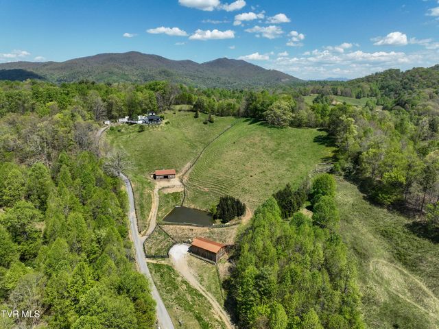146 Bear Cage Road, Roan Mountain, TN 37687