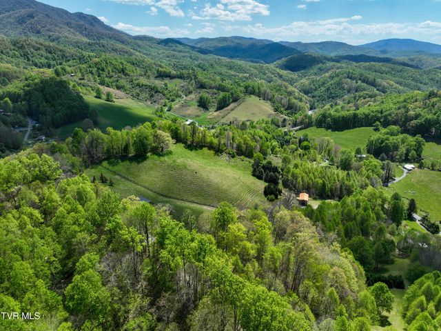 146 Bear Cage Road, Roan Mountain, TN 37687