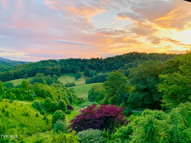 146 Bear Cage Road, Roan Mountain, TN 37687