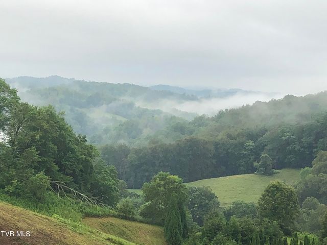 146 Bear Cage Road, Roan Mountain, TN 37687