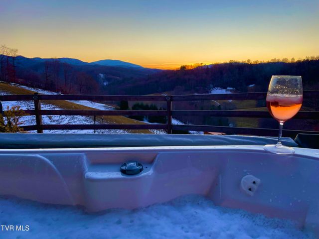146 Bear Cage Road, Roan Mountain, TN 37687