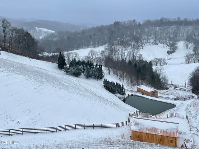 146 Bear Cage Road, Roan Mountain, TN 37687