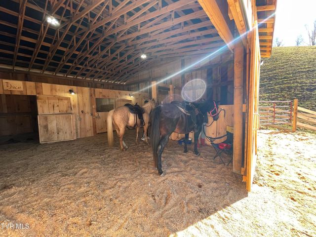 146 Bear Cage Road, Roan Mountain, TN 37687