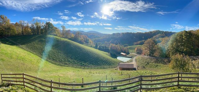 146 Bear Cage Road, Roan Mountain, TN 37687