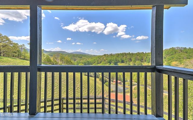 146 Bear Cage Road, Roan Mountain, TN 37687
