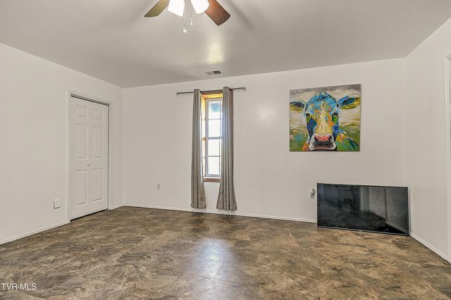 146 Bear Cage Road, Roan Mountain, TN 37687