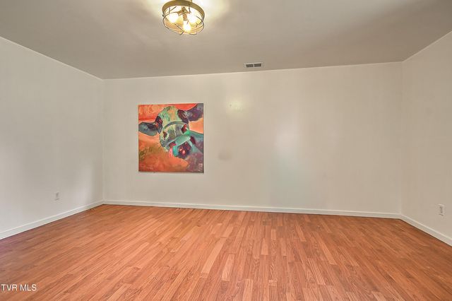 146 Bear Cage Road, Roan Mountain, TN 37687
