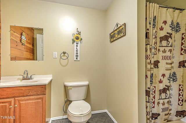146 Bear Cage Road, Roan Mountain, TN 37687