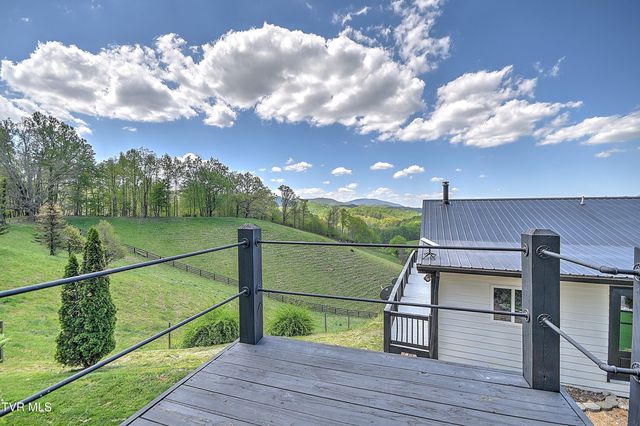 146 Bear Cage Road, Roan Mountain, TN 37687