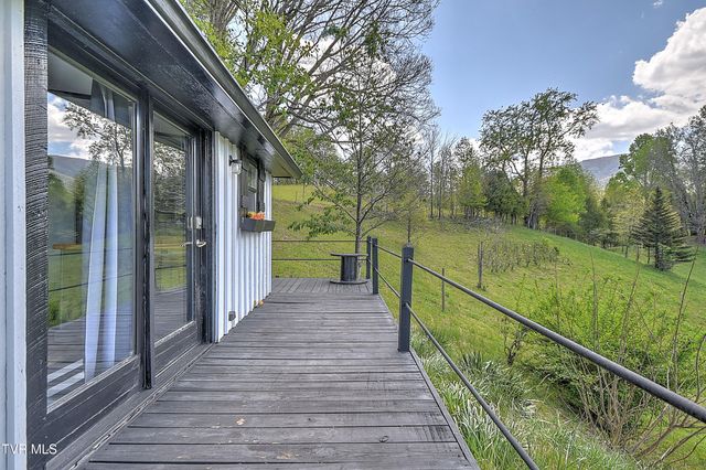 146 Bear Cage Road, Roan Mountain, TN 37687