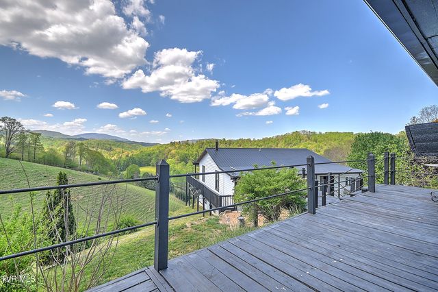 146 Bear Cage Road, Roan Mountain, TN 37687