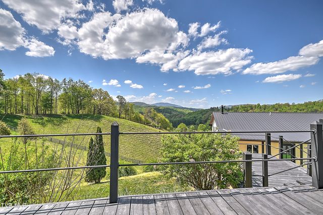 146 Bear Cage Road, Roan Mountain, TN 37687