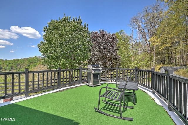 146 Bear Cage Road, Roan Mountain, TN 37687