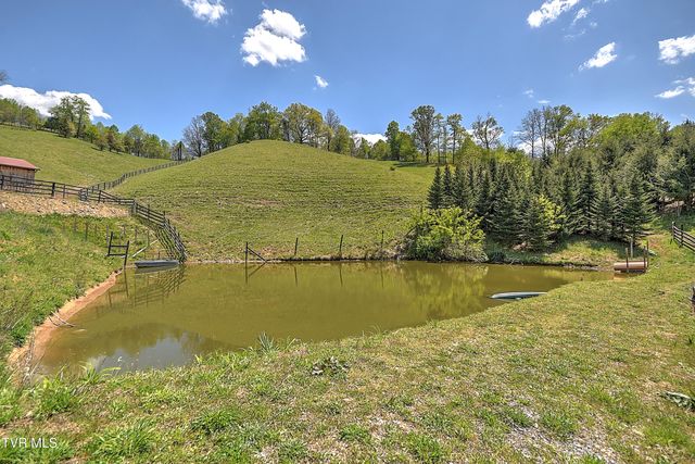 146 Bear Cage Road, Roan Mountain, TN 37687