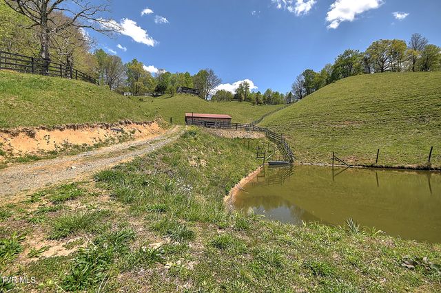 146 Bear Cage Road, Roan Mountain, TN 37687