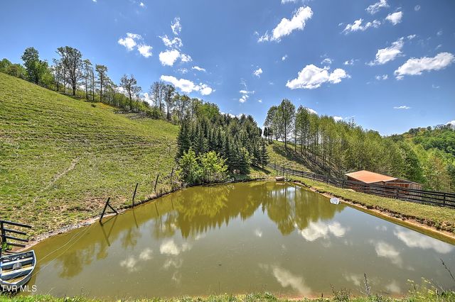 146 Bear Cage Road, Roan Mountain, TN 37687