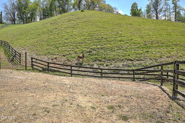 146 Bear Cage Road, Roan Mountain, TN 37687