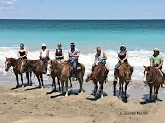 11447 SW Lake Park Drive, Port St Lucie, FL 34987